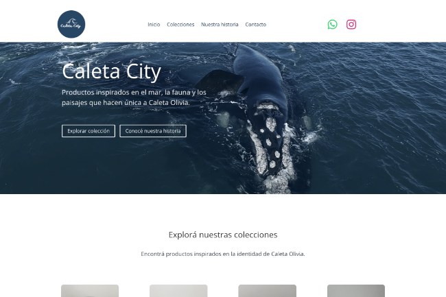 Sitio web de Caleta City